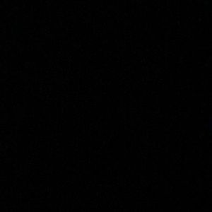 Meet your Posher, Elisha